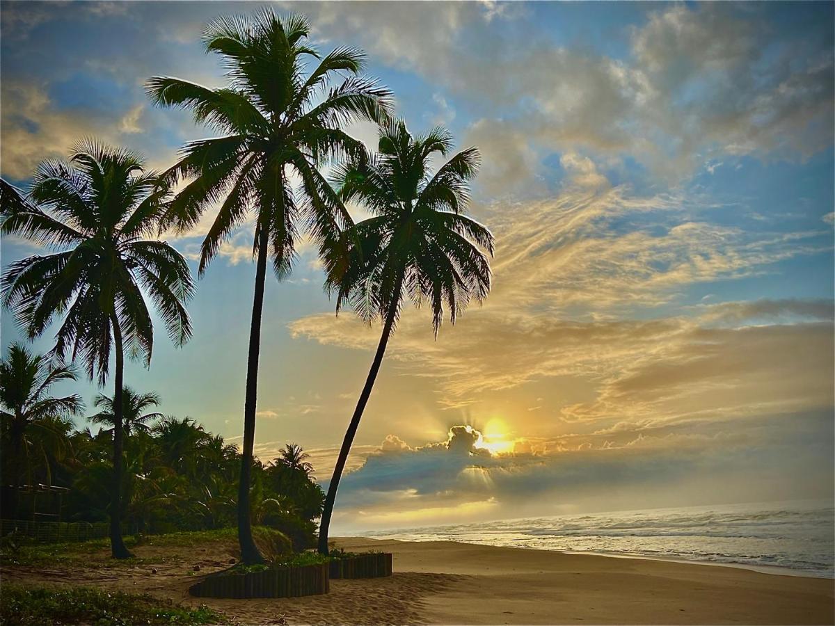 Hotel Bahia Surf Camp Abrantes Exterior foto