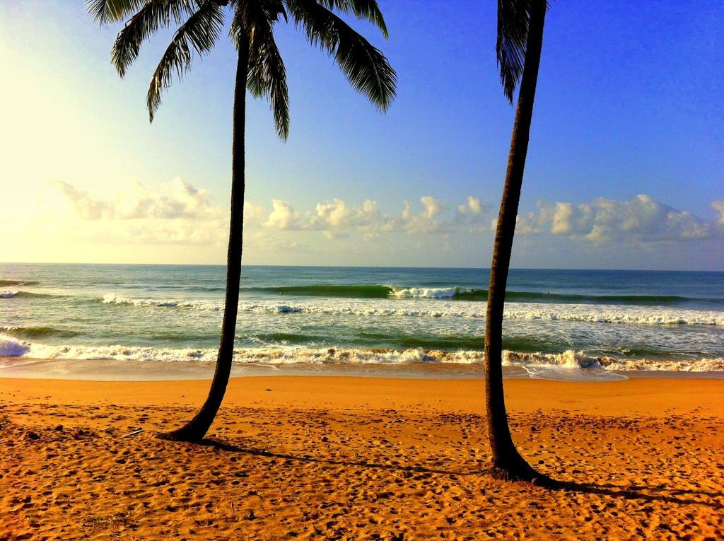 Hotel Bahia Surf Camp Abrantes Exterior foto